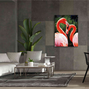 'Flamingo II' by Debra Van Swearingen, Canvas Wall Art,40 x 54