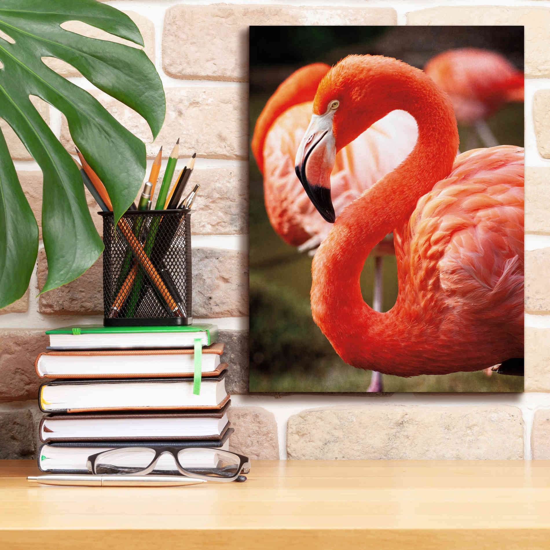 'Flamingo III' by Debra Van Swearingen, Canvas Wall Art,12 x 16