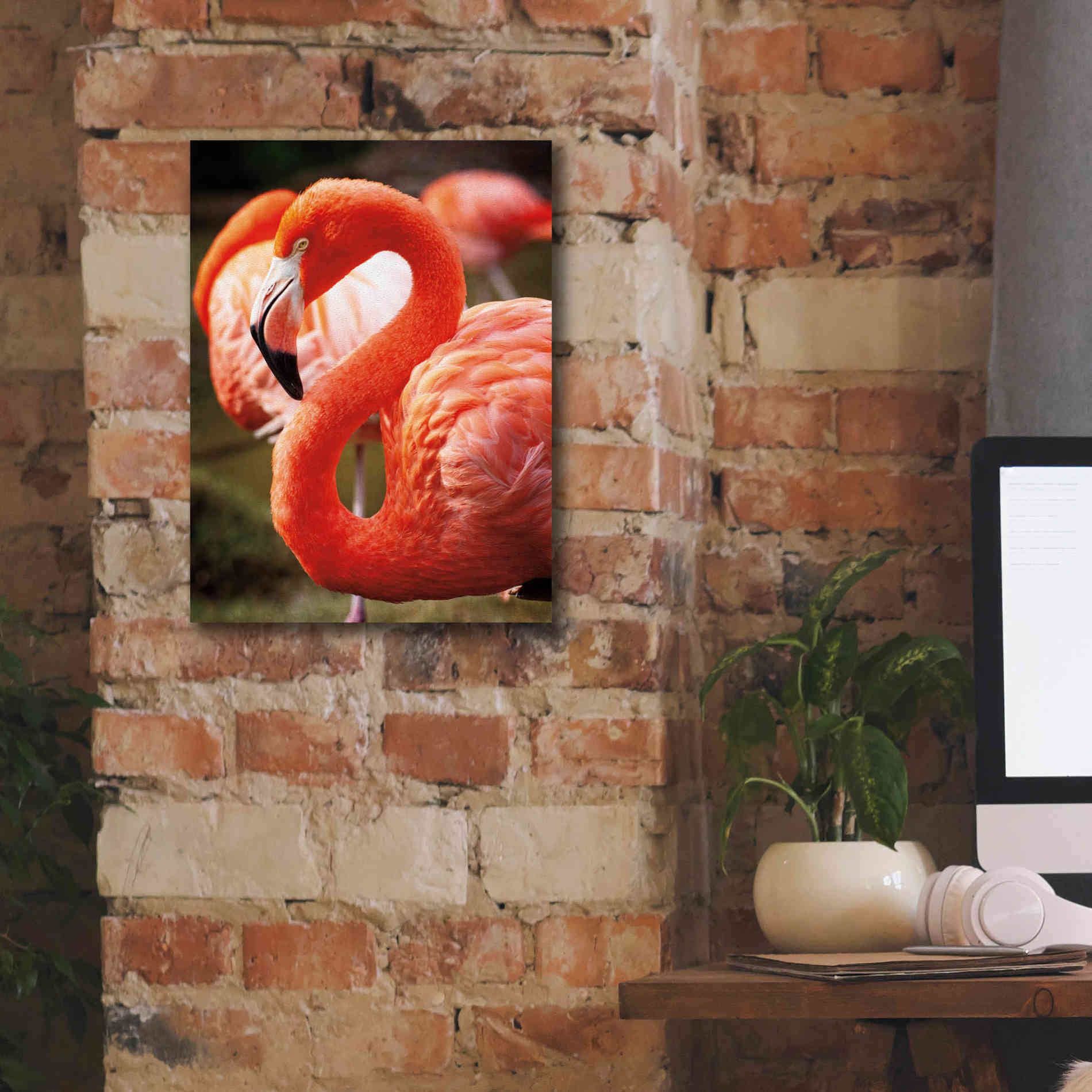 'Flamingo III' by Debra Van Swearingen, Canvas Wall Art,12 x 16