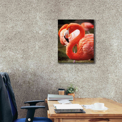 Image of 'Flamingo III' by Debra Van Swearingen, Canvas Wall Art,20 x 24