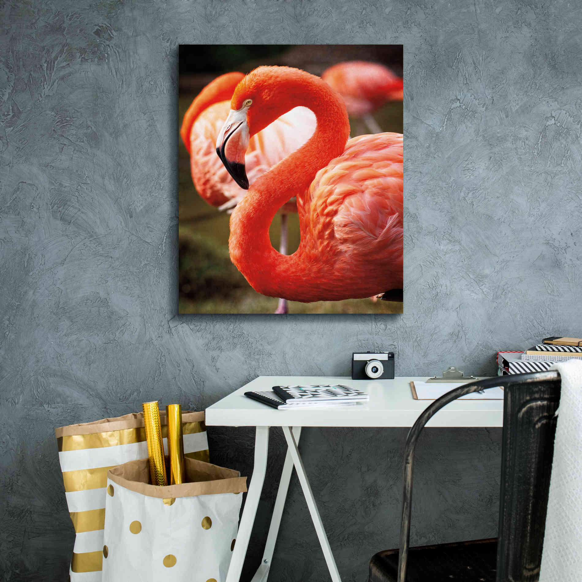 'Flamingo III' by Debra Van Swearingen, Canvas Wall Art,20 x 24