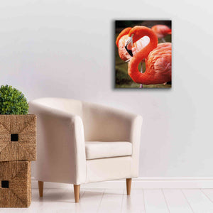 'Flamingo III' by Debra Van Swearingen, Canvas Wall Art,20 x 24