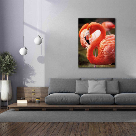 Image of 'Flamingo III' by Debra Van Swearingen, Canvas Wall Art,40 x 54