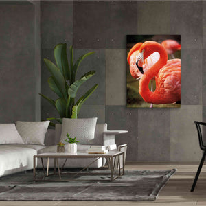 'Flamingo III' by Debra Van Swearingen, Canvas Wall Art,40 x 54