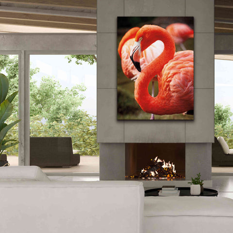 Image of 'Flamingo III' by Debra Van Swearingen, Canvas Wall Art,40 x 54