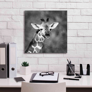'Little Guy' by Debra Van Swearingen, Canvas Wall Art,18 x 18