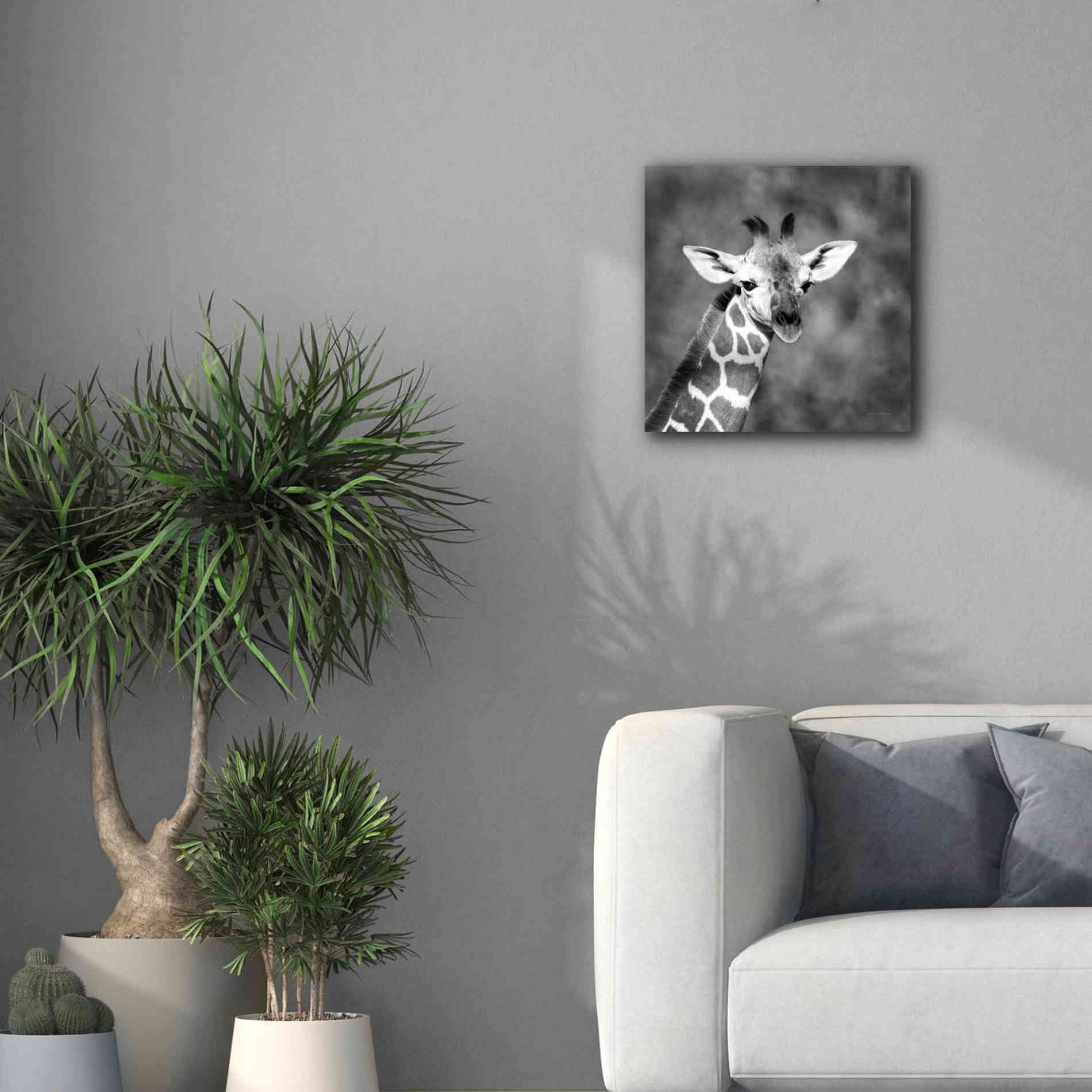 'Little Guy' by Debra Van Swearingen, Canvas Wall Art,18 x 18