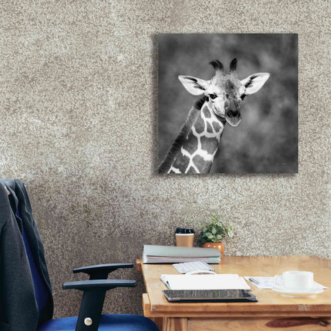 Image of 'Little Guy' by Debra Van Swearingen, Canvas Wall Art,26 x 26