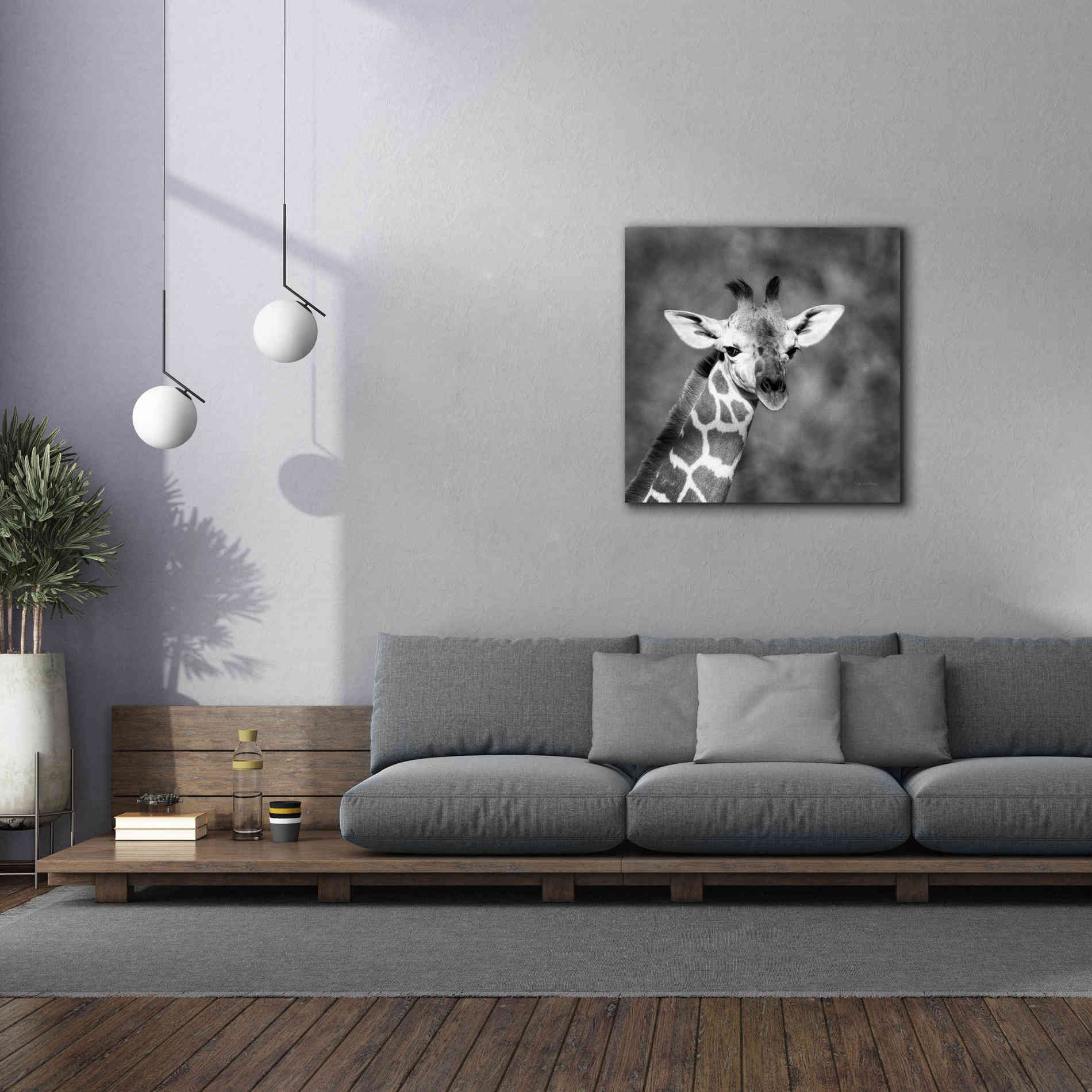 'Little Guy' by Debra Van Swearingen, Canvas Wall Art,37 x 37