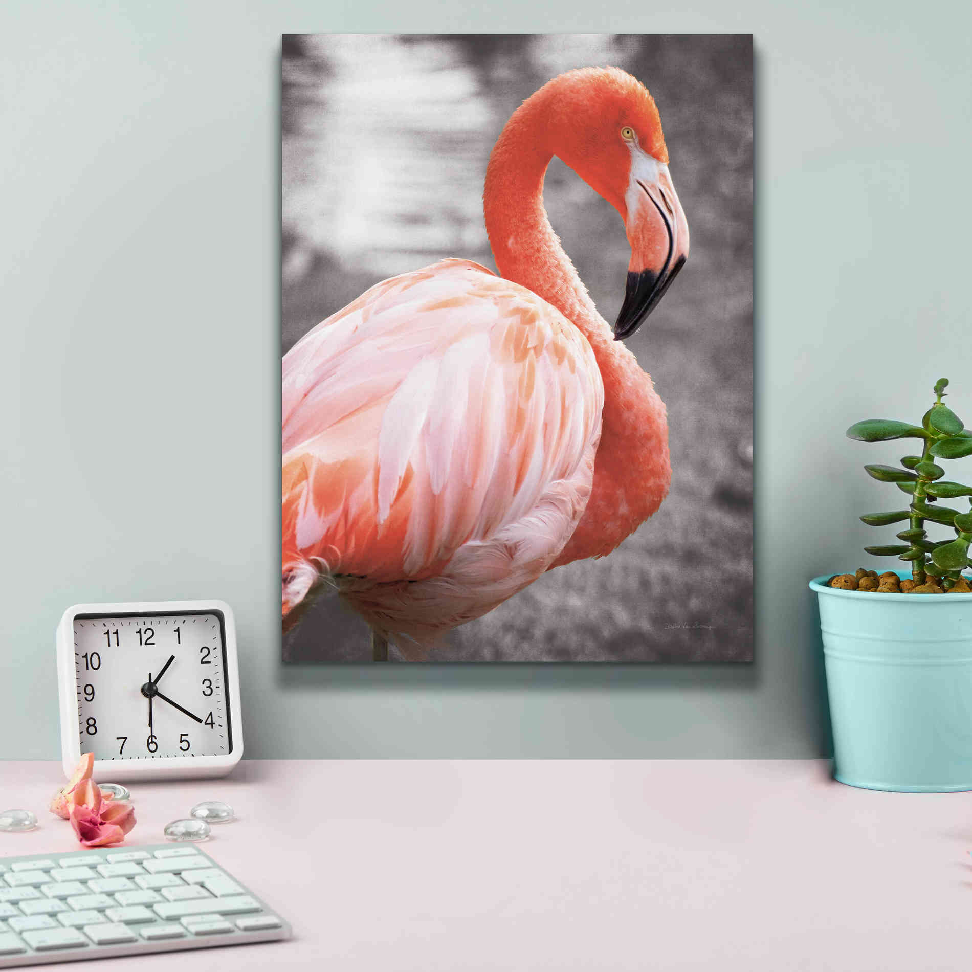 'Flamingo I on BW' by Debra Van Swearingen, Canvas Wall Art,12 x 16