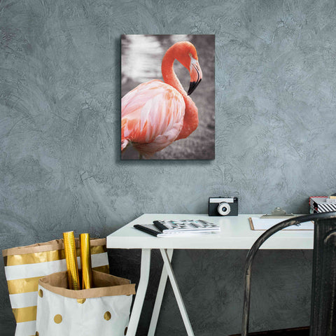 Image of 'Flamingo I on BW' by Debra Van Swearingen, Canvas Wall Art,12 x 16