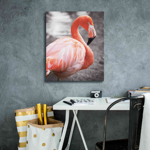 Image of 'Flamingo I on BW' by Debra Van Swearingen, Canvas Wall Art,20 x 24