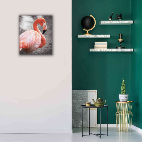 Image of 'Flamingo I on BW' by Debra Van Swearingen, Canvas Wall Art,20 x 24