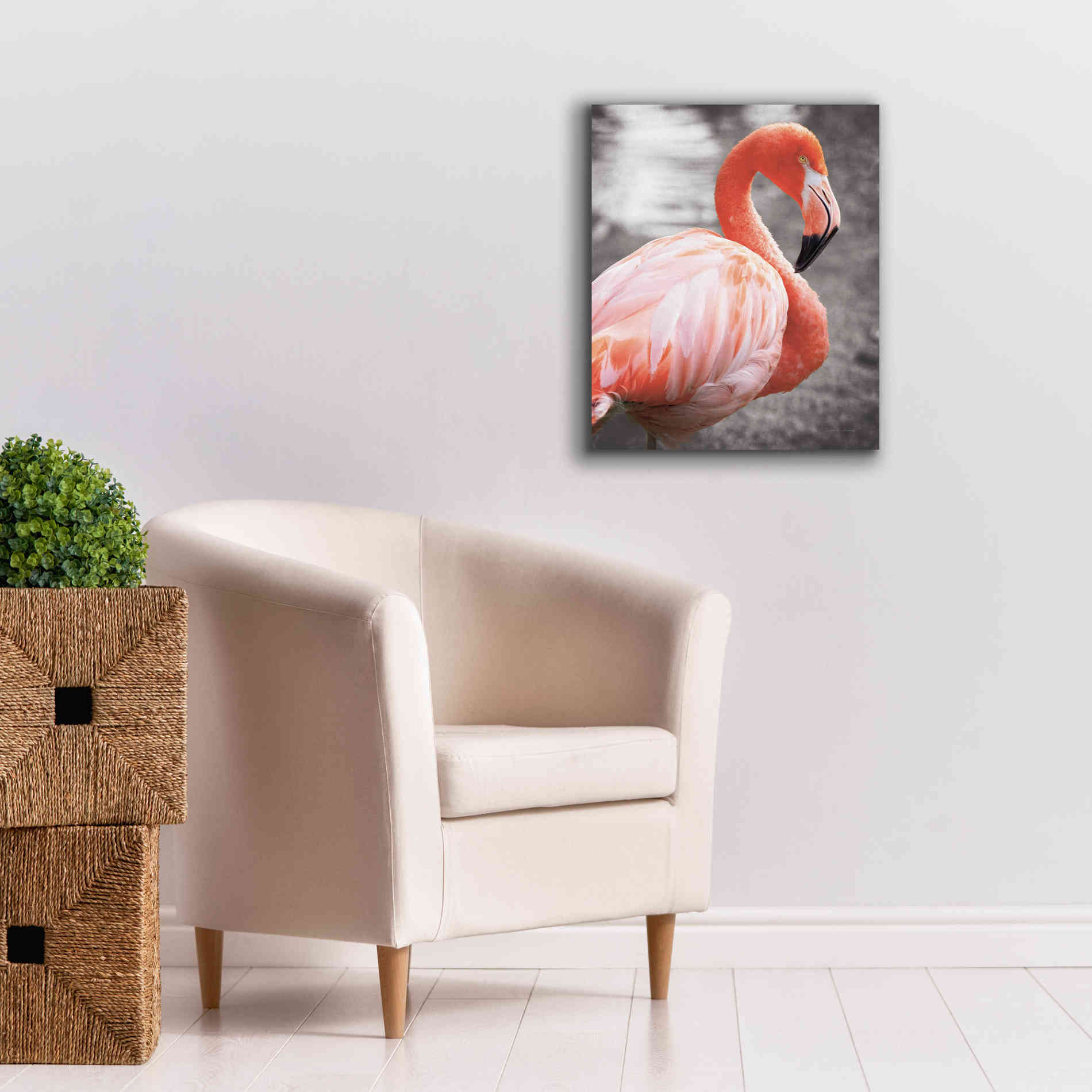 'Flamingo I on BW' by Debra Van Swearingen, Canvas Wall Art,20 x 24