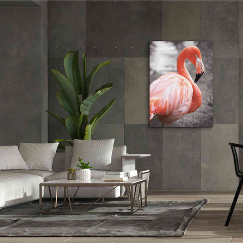Image of 'Flamingo I on BW' by Debra Van Swearingen, Canvas Wall Art,40 x 54