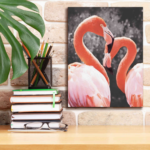 Image of 'Flamingo II on BW' by Debra Van Swearingen, Canvas Wall Art,12 x 16