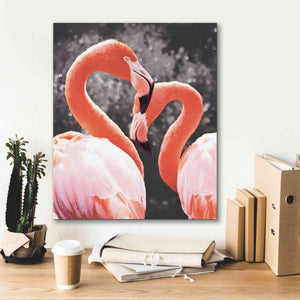 'Flamingo II on BW' by Debra Van Swearingen, Canvas Wall Art,20 x 24