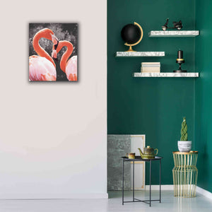 'Flamingo II on BW' by Debra Van Swearingen, Canvas Wall Art,20 x 24