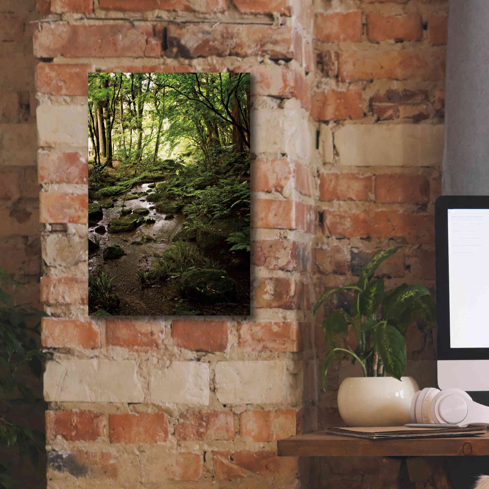 'Lush Creek in Forest' by Debra Van Swearingen, Canvas Wall Art,12 x 18