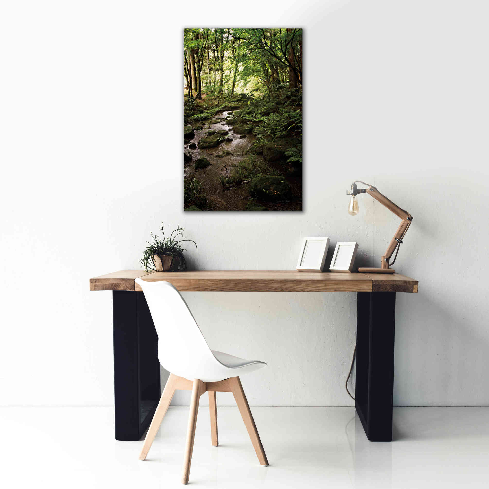 'Lush Creek in Forest' by Debra Van Swearingen, Canvas Wall Art,26 x 40