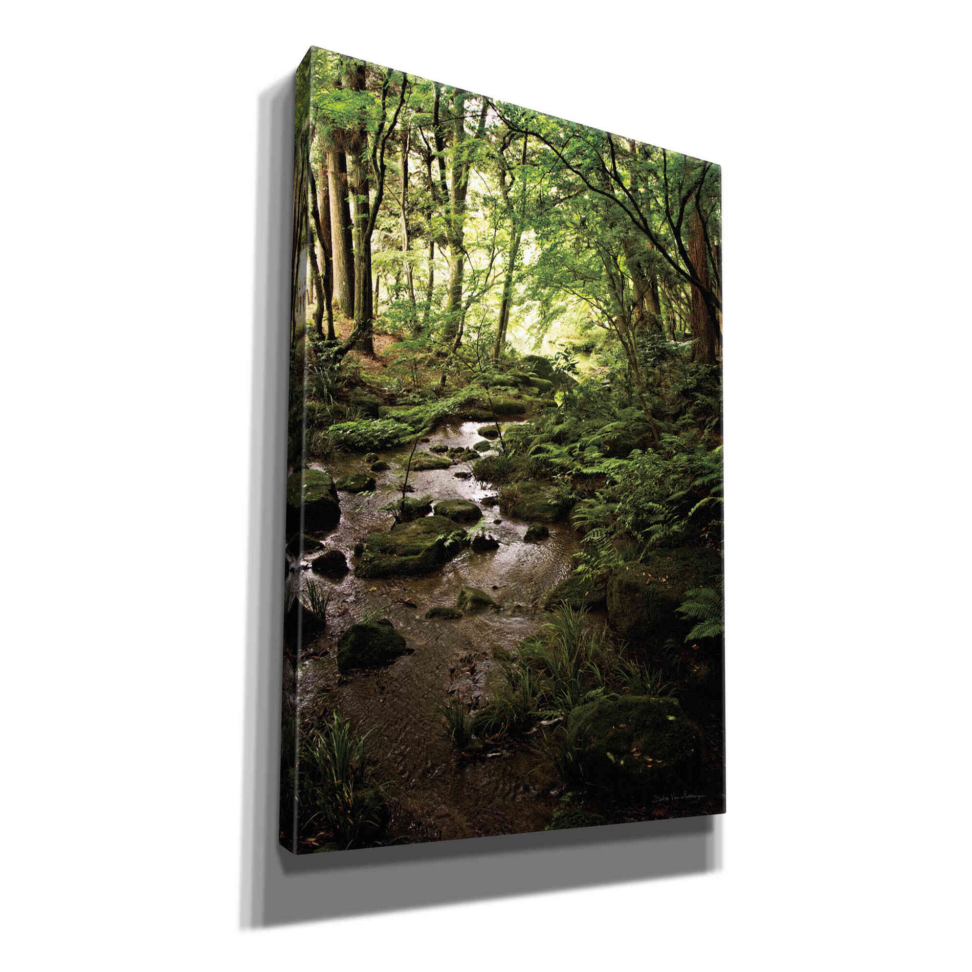 'Lush Creek in Forest' by Debra Van Swearingen, Canvas Wall Art,12x18x1.1x0,18x26x1.1x0,26x40x1.74x0,40x60x1.74x0