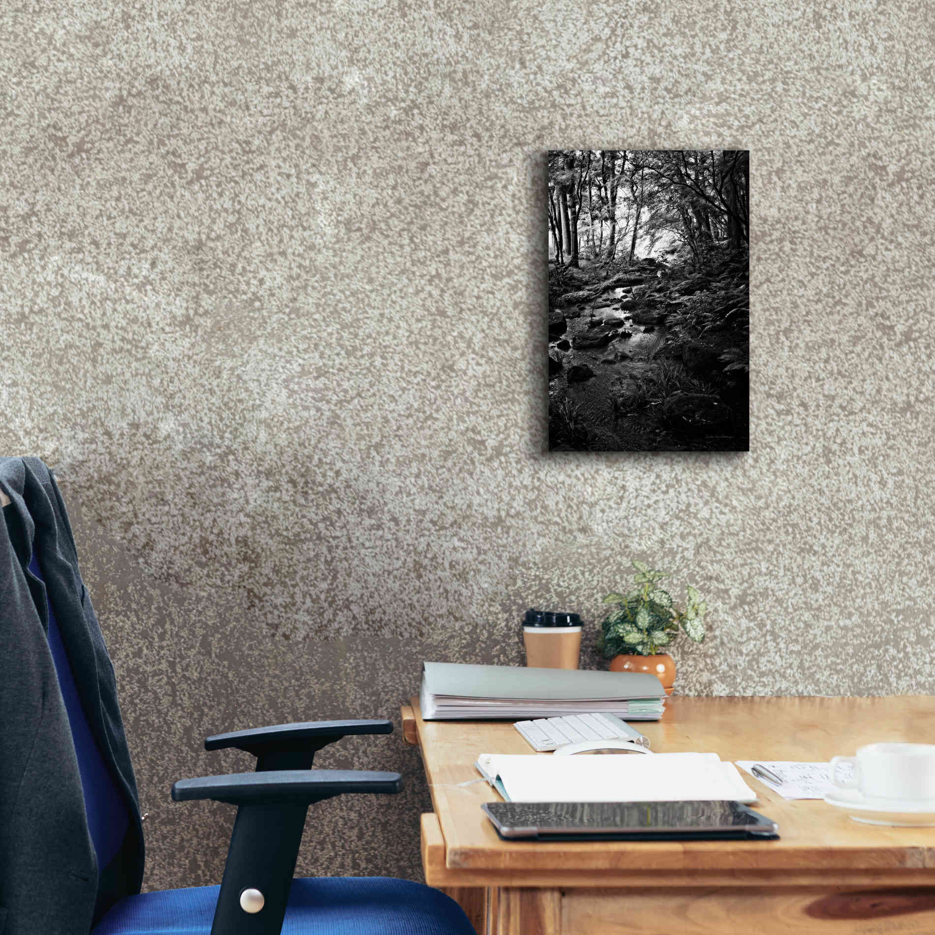 'Lush Creek in Forest BW' by Debra Van Swearingen, Canvas Wall Art,12 x 18
