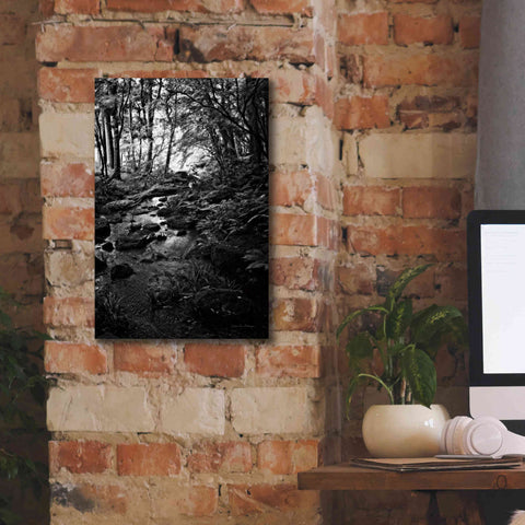 Image of 'Lush Creek in Forest BW' by Debra Van Swearingen, Canvas Wall Art,12 x 18