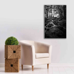 'Lush Creek in Forest BW' by Debra Van Swearingen, Canvas Wall Art,26 x 40