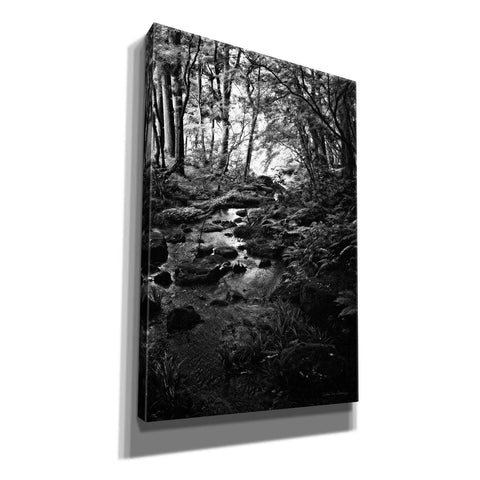 Image of 'Lush Creek in Forest BW' by Debra Van Swearingen, Canvas Wall Art,12x18x1.1x0,18x26x1.1x0,26x40x1.74x0,40x60x1.74x0