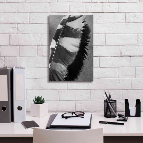 Image of 'Feather Shadow I' by Debra Van Swearingen, Canvas Wall Art,12 x 18