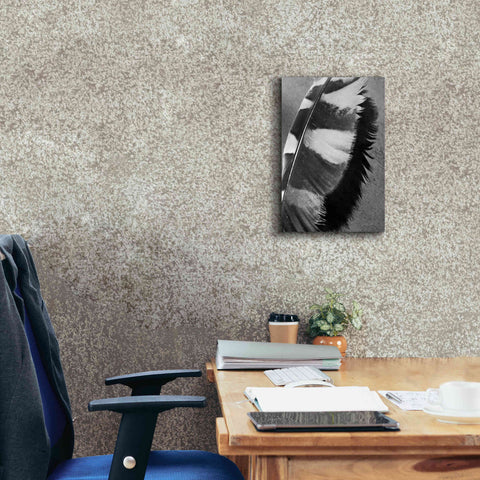 Image of 'Feather Shadow I' by Debra Van Swearingen, Canvas Wall Art,12 x 18