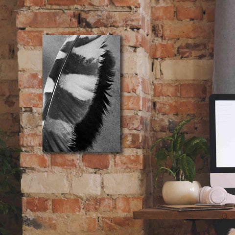 Image of 'Feather Shadow I' by Debra Van Swearingen, Canvas Wall Art,12 x 18
