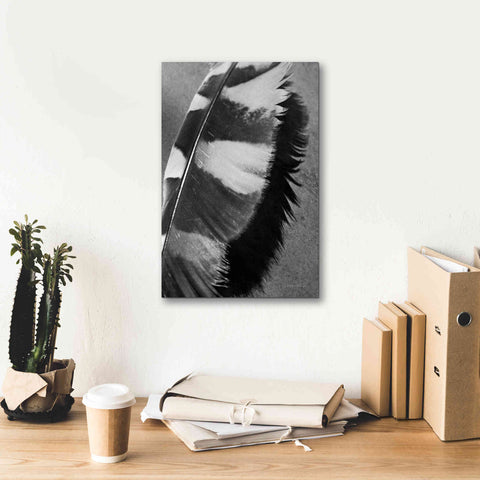 Image of 'Feather Shadow I' by Debra Van Swearingen, Canvas Wall Art,12 x 18
