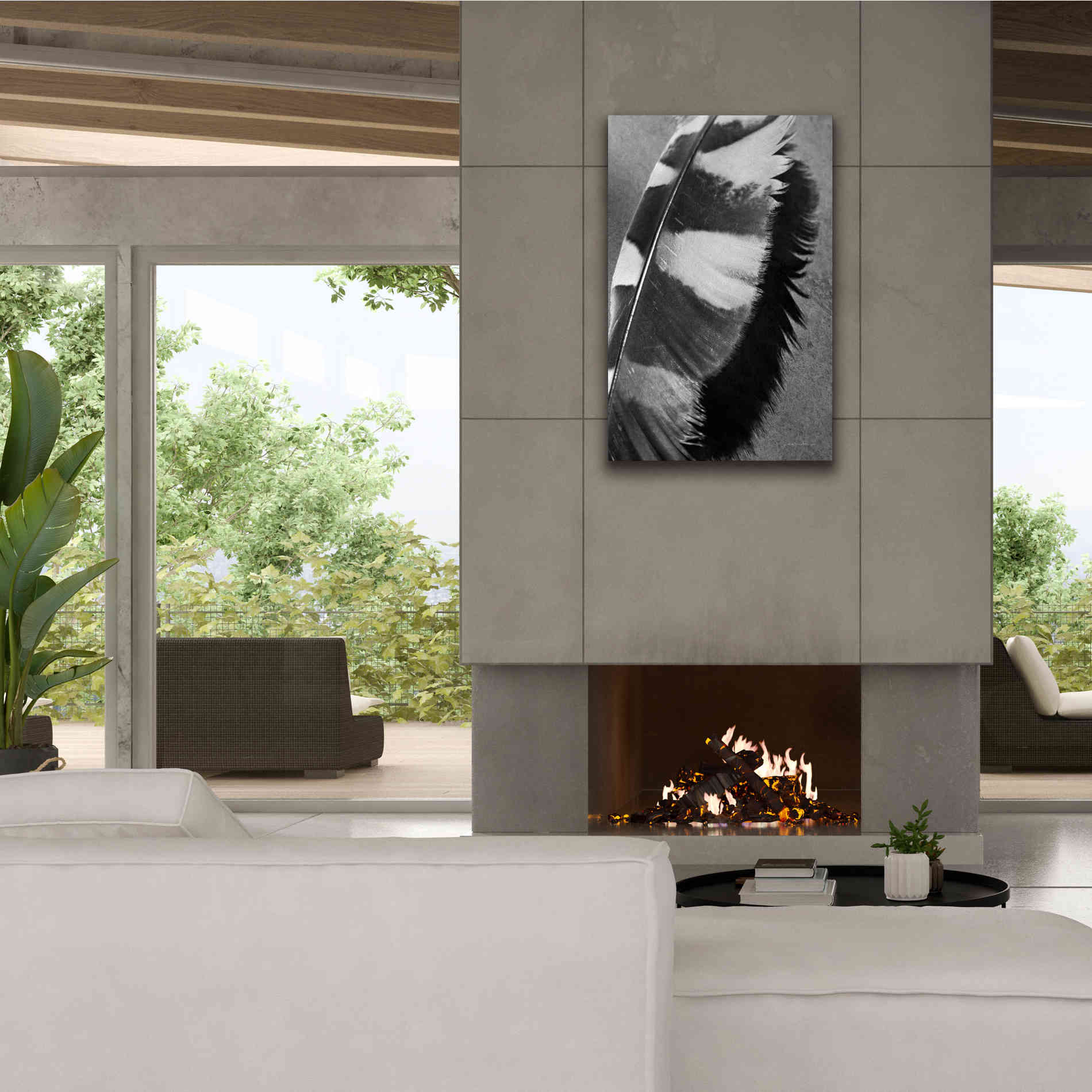 'Feather Shadow I' by Debra Van Swearingen, Canvas Wall Art,26 x 40
