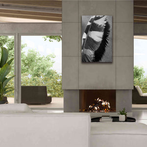 'Feather Shadow I' by Debra Van Swearingen, Canvas Wall Art,26 x 40