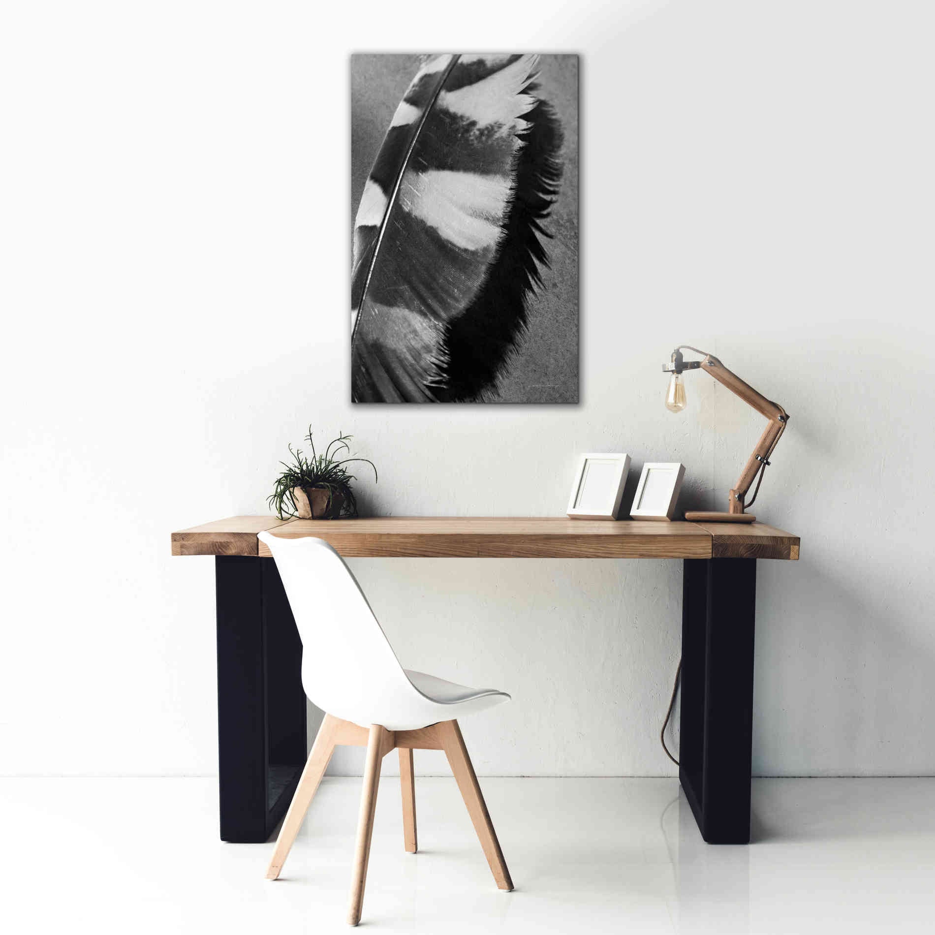 'Feather Shadow I' by Debra Van Swearingen, Canvas Wall Art,26 x 40