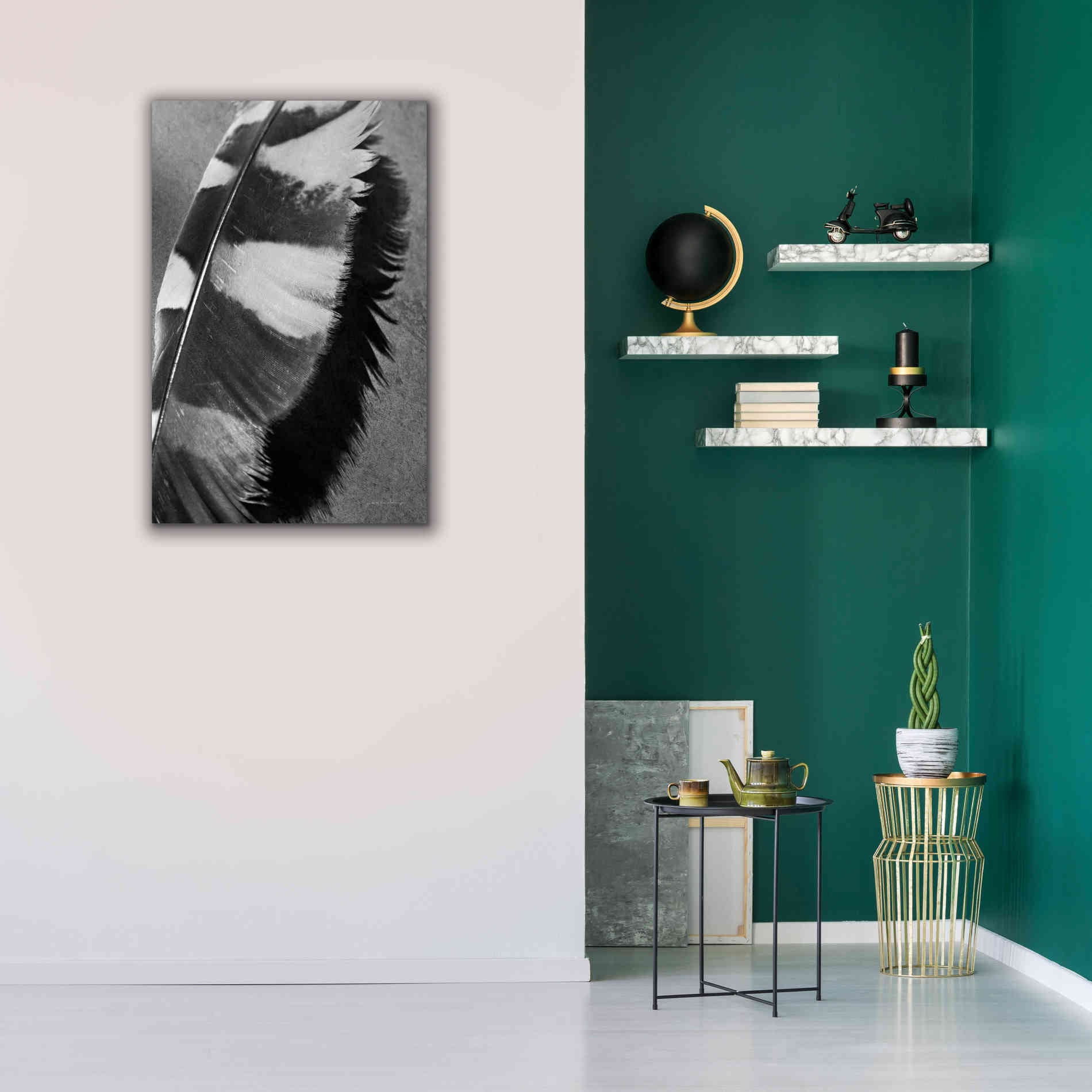 'Feather Shadow I' by Debra Van Swearingen, Canvas Wall Art,26 x 40