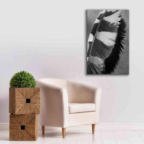 Image of 'Feather Shadow I' by Debra Van Swearingen, Canvas Wall Art,26 x 40