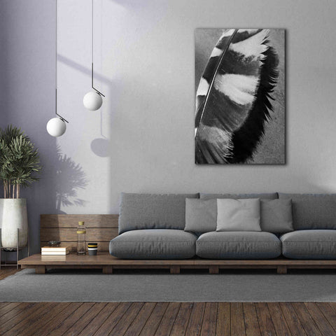 Image of 'Feather Shadow I' by Debra Van Swearingen, Canvas Wall Art,40 x 60