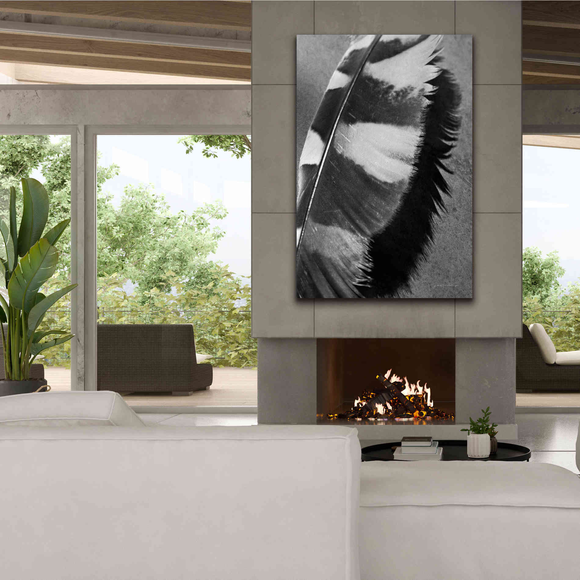 'Feather Shadow I' by Debra Van Swearingen, Canvas Wall Art,40 x 60
