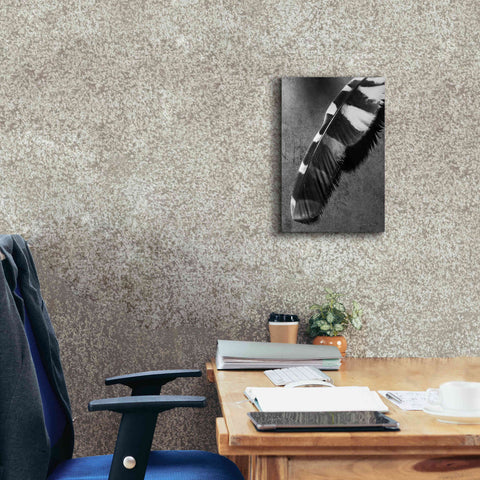 Image of 'Feather Shadow II' by Debra Van Swearingen, Canvas Wall Art,12 x 18