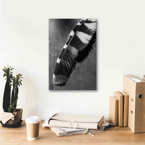 Image of 'Feather Shadow II' by Debra Van Swearingen, Canvas Wall Art,12 x 18