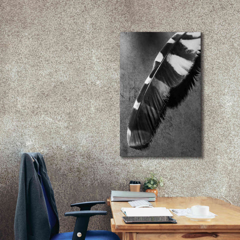 Image of 'Feather Shadow II' by Debra Van Swearingen, Canvas Wall Art,26 x 40