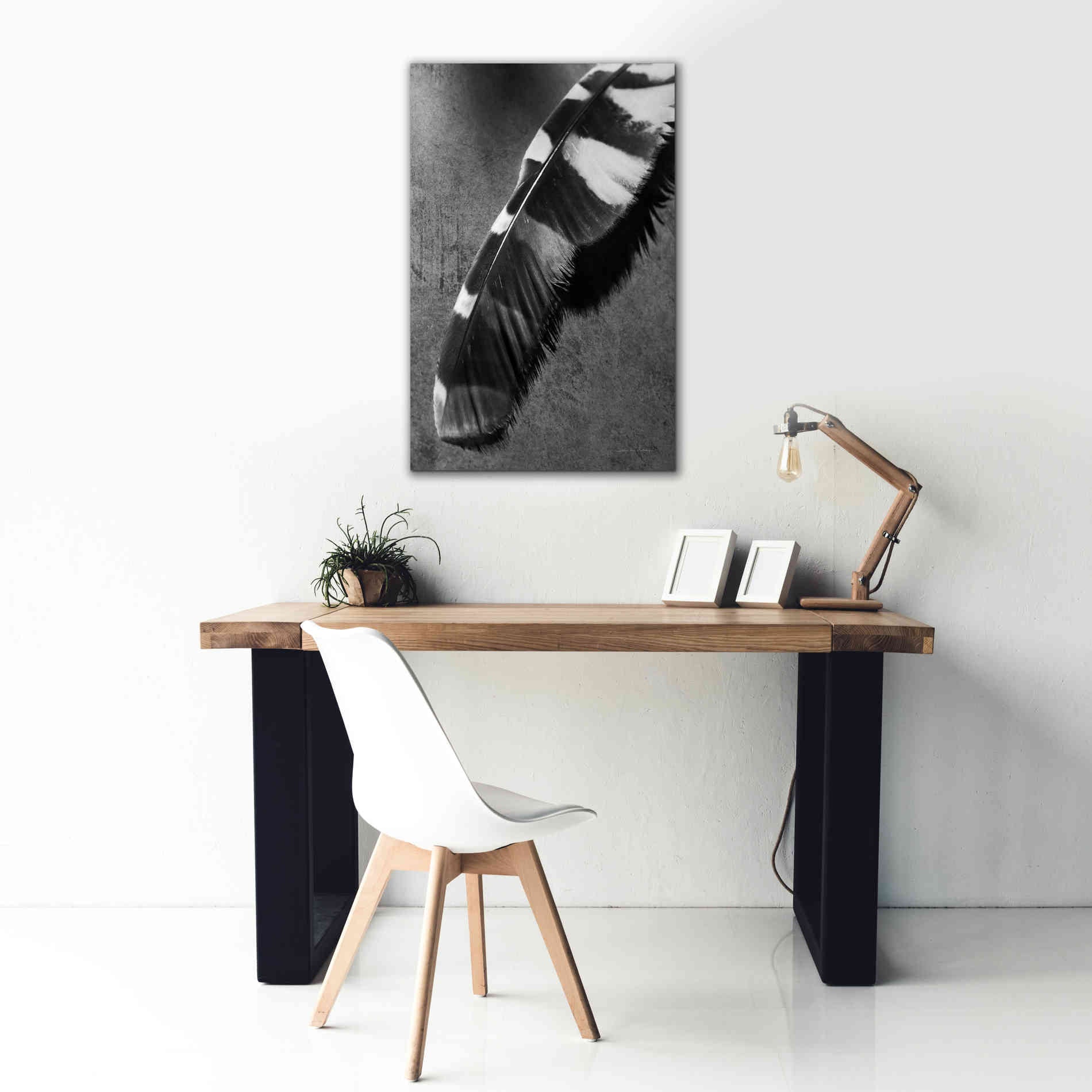 'Feather Shadow II' by Debra Van Swearingen, Canvas Wall Art,26 x 40
