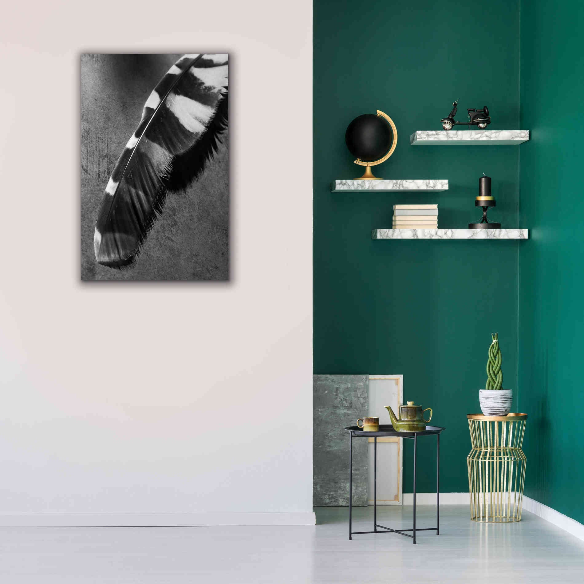 'Feather Shadow II' by Debra Van Swearingen, Canvas Wall Art,26 x 40