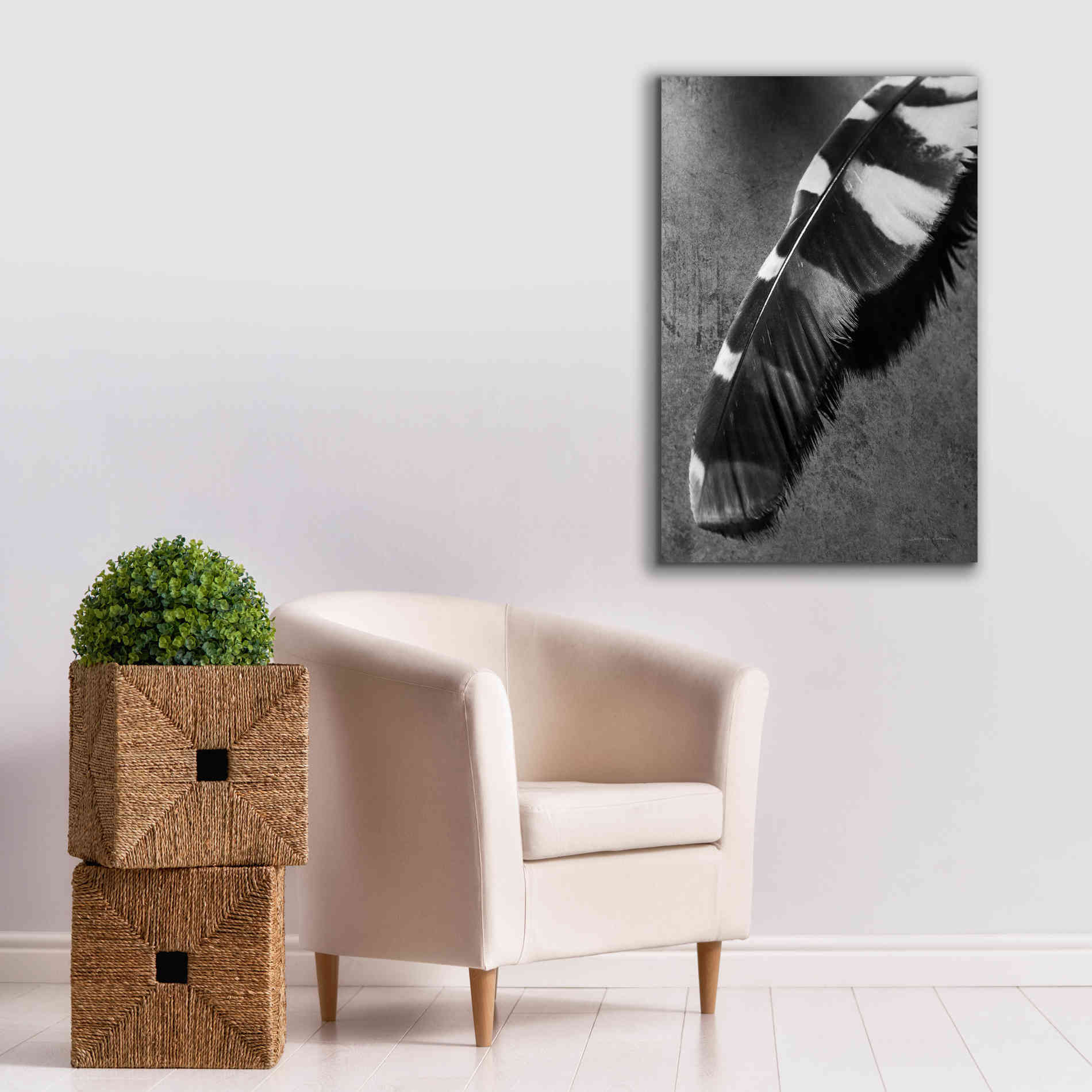 'Feather Shadow II' by Debra Van Swearingen, Canvas Wall Art,26 x 40