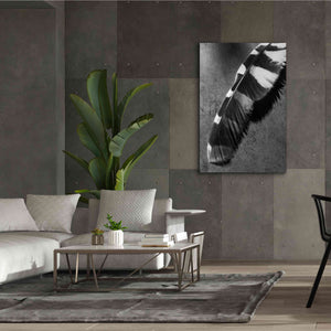'Feather Shadow II' by Debra Van Swearingen, Canvas Wall Art,40 x 60