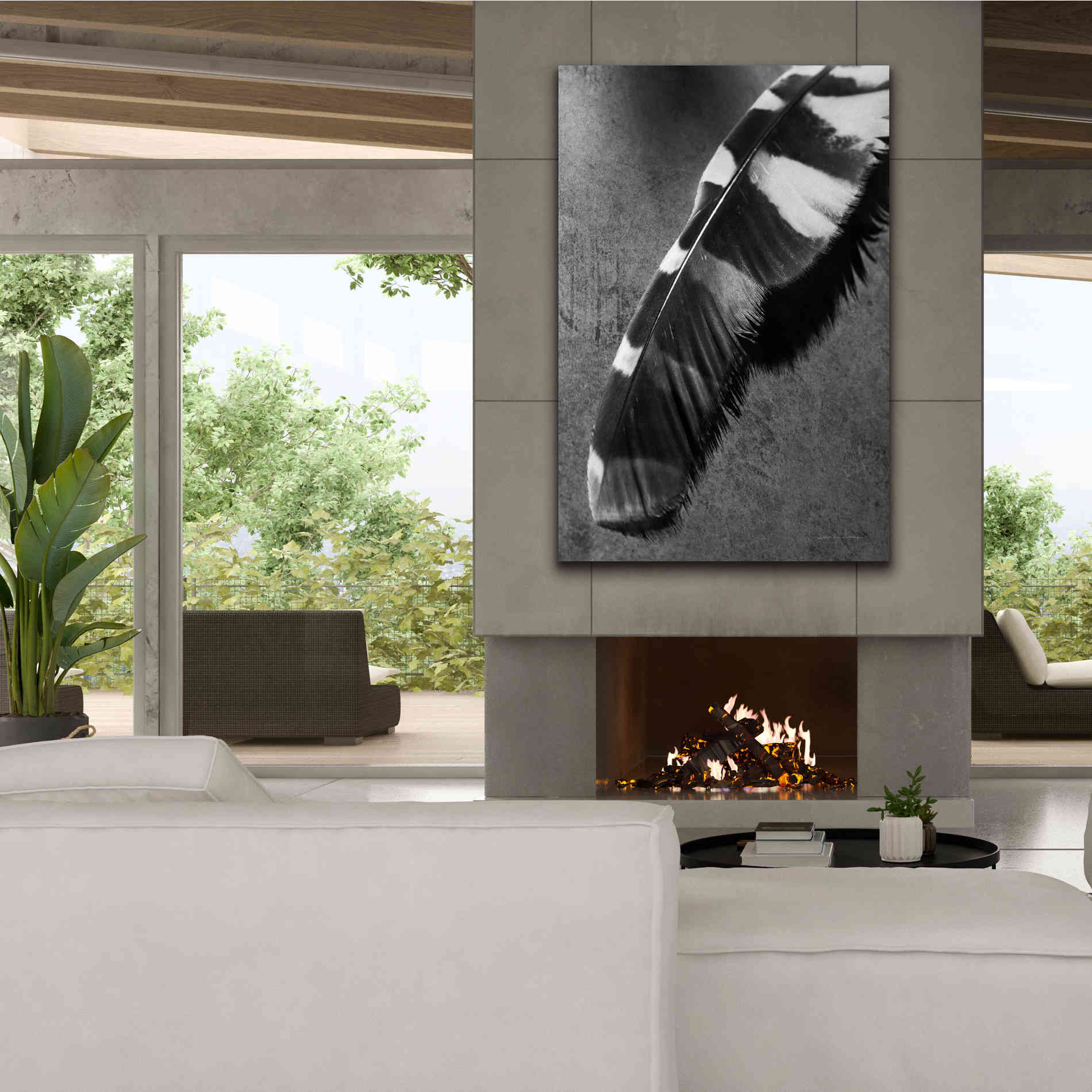 'Feather Shadow II' by Debra Van Swearingen, Canvas Wall Art,40 x 60