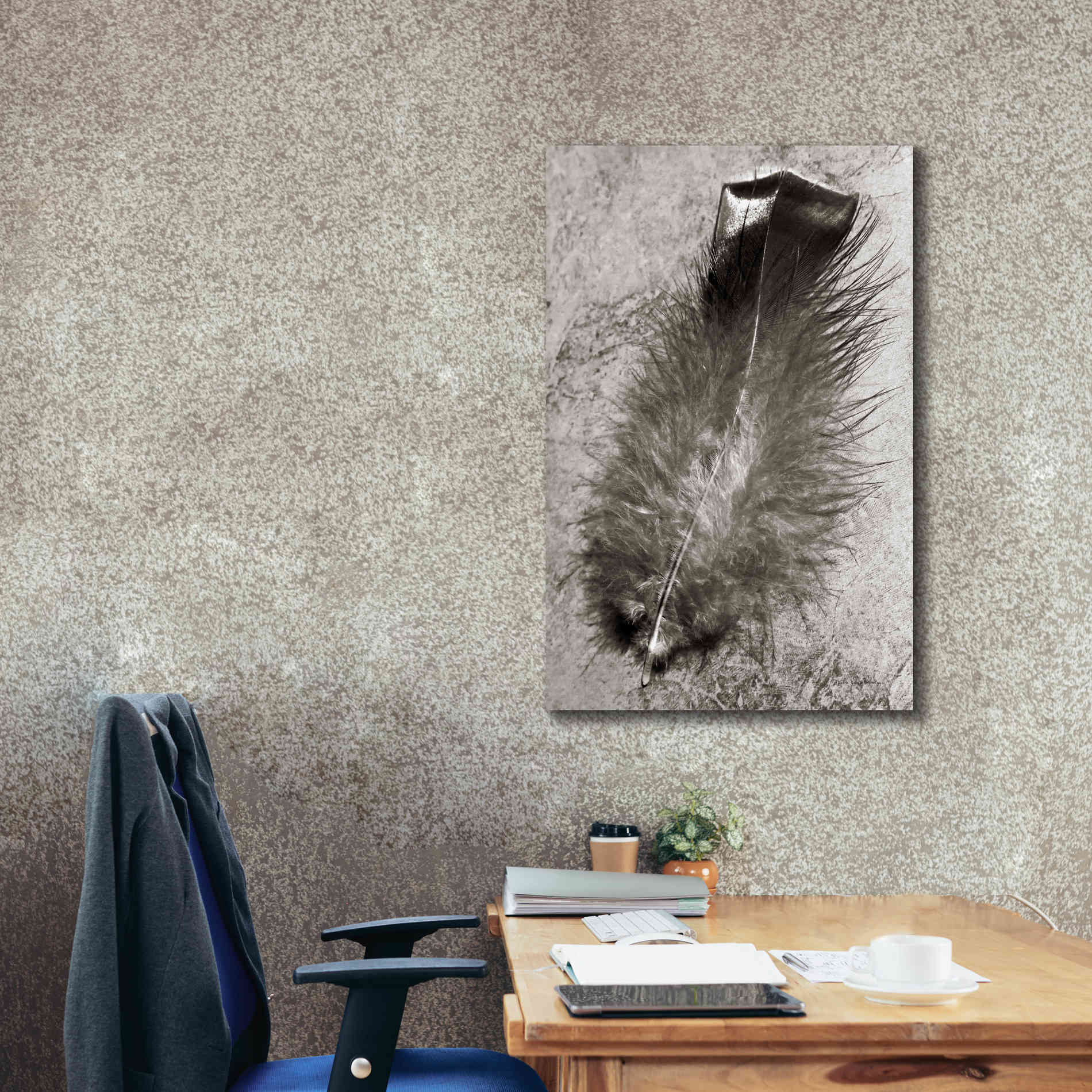 'Feather Shadow IV' by Debra Van Swearingen, Canvas Wall Art,26 x 40