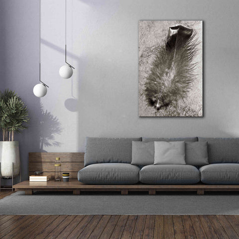 Image of 'Feather Shadow IV' by Debra Van Swearingen, Canvas Wall Art,40 x 60